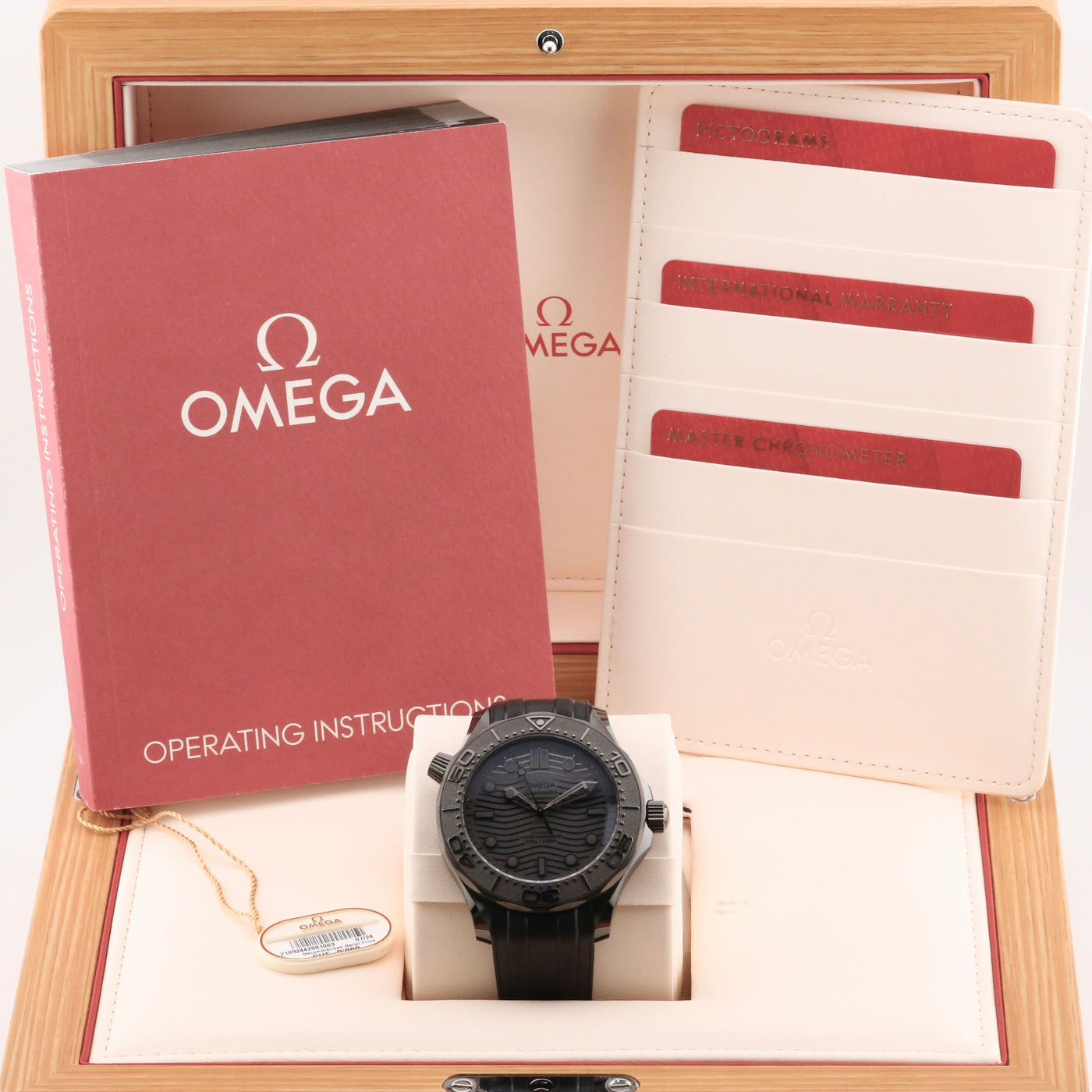 Omega Seamaster Black Black 21092442001003 Year: 2024